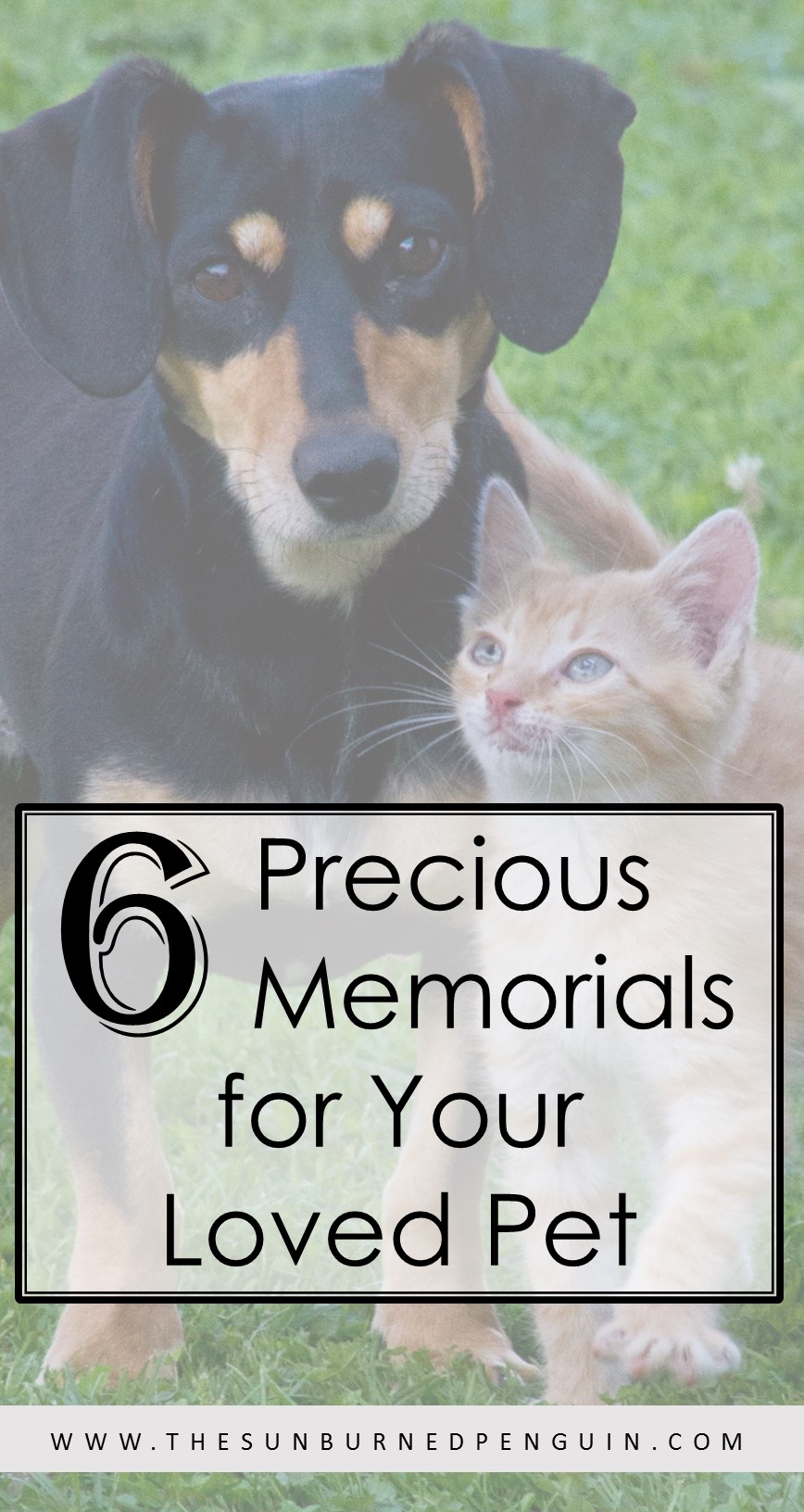 6 Precious Memorials for Your Loved Pet