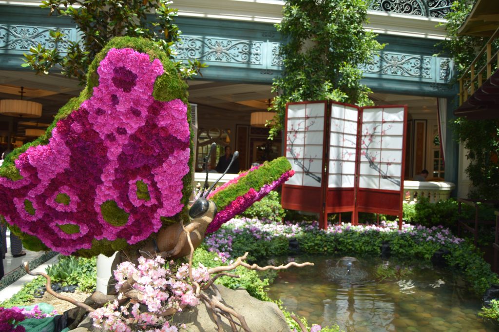 Japanese Spring at the Bellagio Conservatory and Botanical Garden is awesome to see!